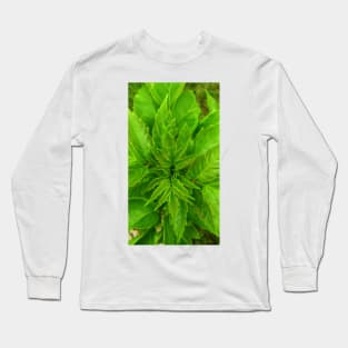 From Above Cont'd Long Sleeve T-Shirt